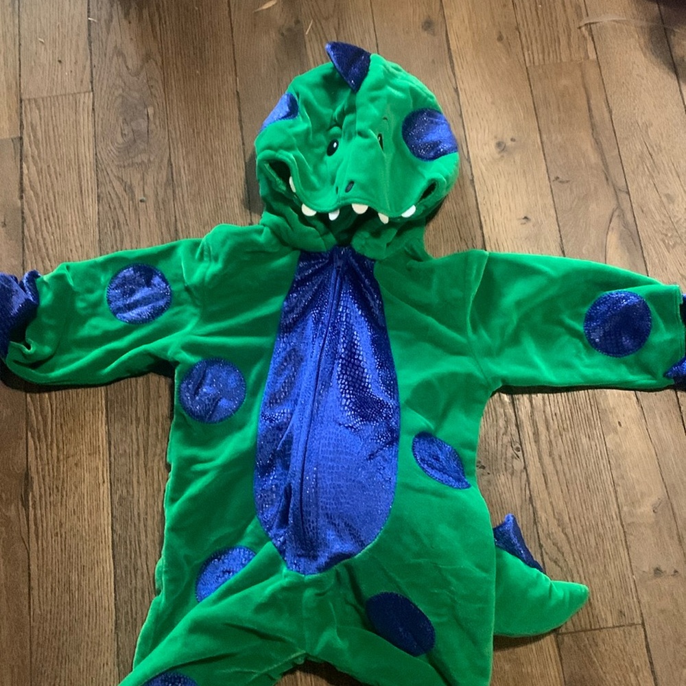 Dragon costume. AR